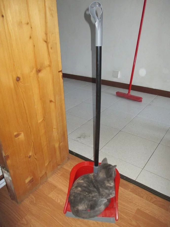 这把撮箕是我的 扫把也是我的 你给我放下 放下!