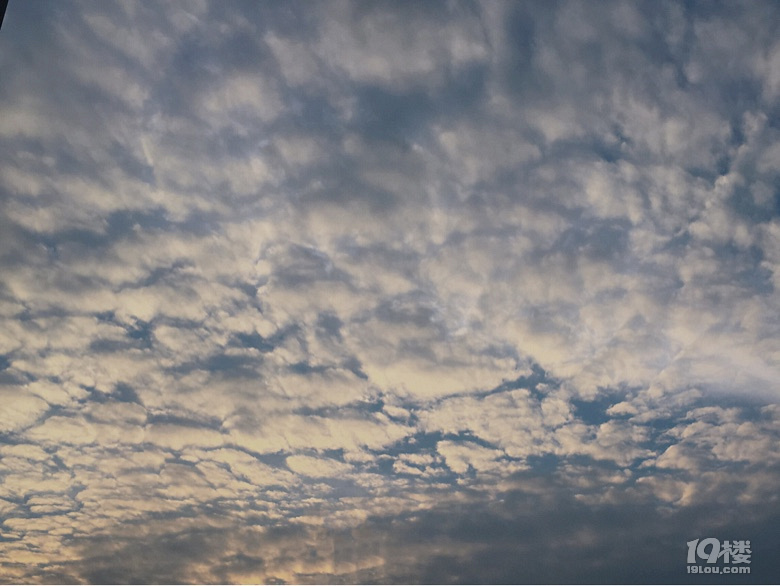 6月19日晚安 晚上大雨早点回家