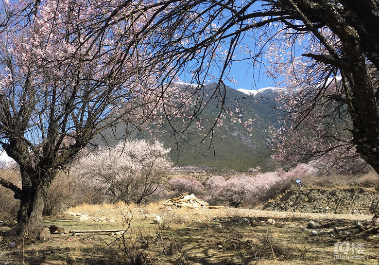 【青春之旅】+人生中的第一次(下)
