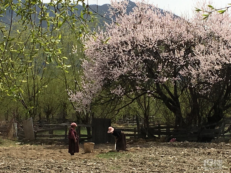 【青春之旅】+人生中的第一次(下)