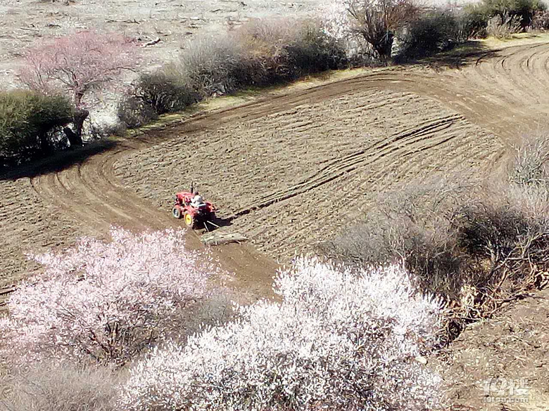 【青春之旅】+人生中的第一次(下)