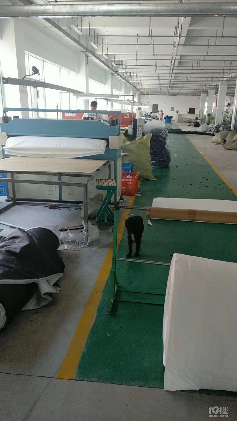 温州雪米拉专业鞋子工厂招聘合伙人