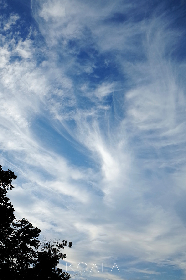 【考拉作品】黄梅天