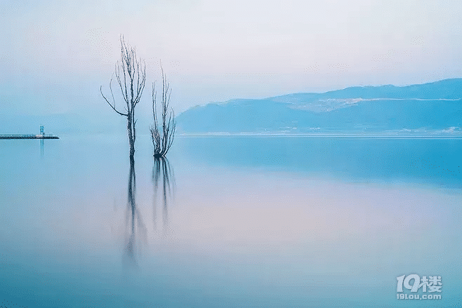 人生是一条河,顺流也好,逆流也好,人生是