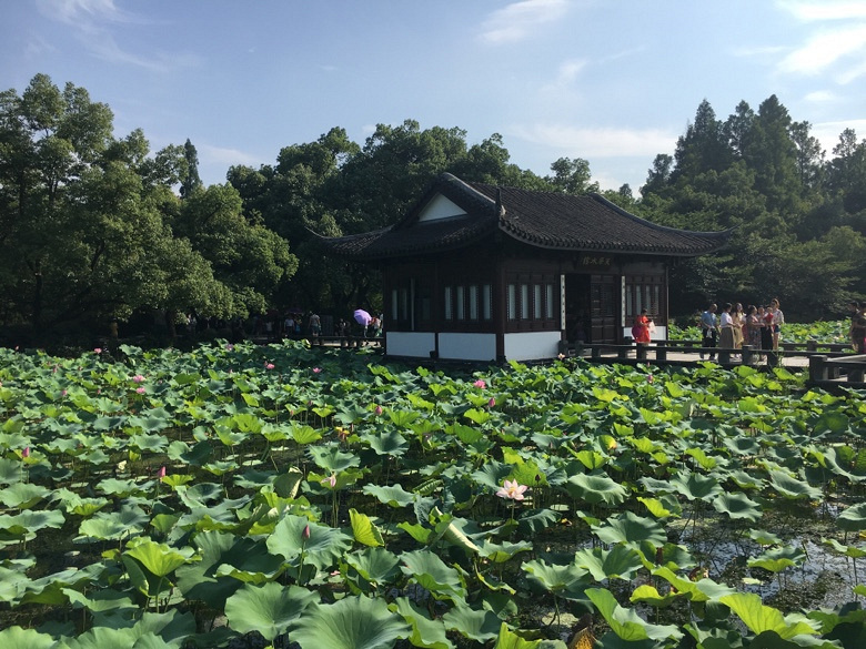 杭州西湖麴院風荷