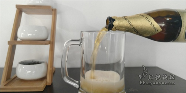 国人、美国人、荷兰人、墨西哥人去酒吧喝酒,