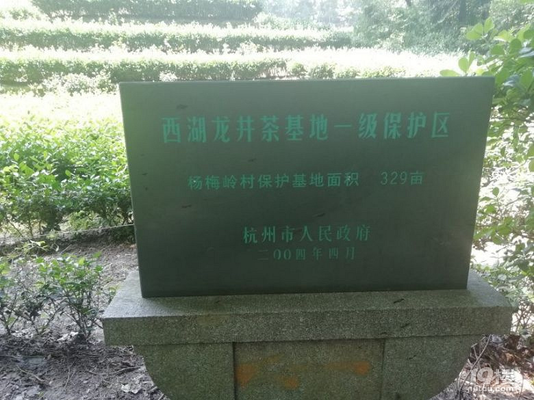 杭州九溪十八澗-龍井村-十里瑯珰