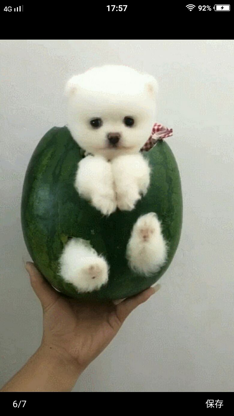 杭师大研究生接家教啦!