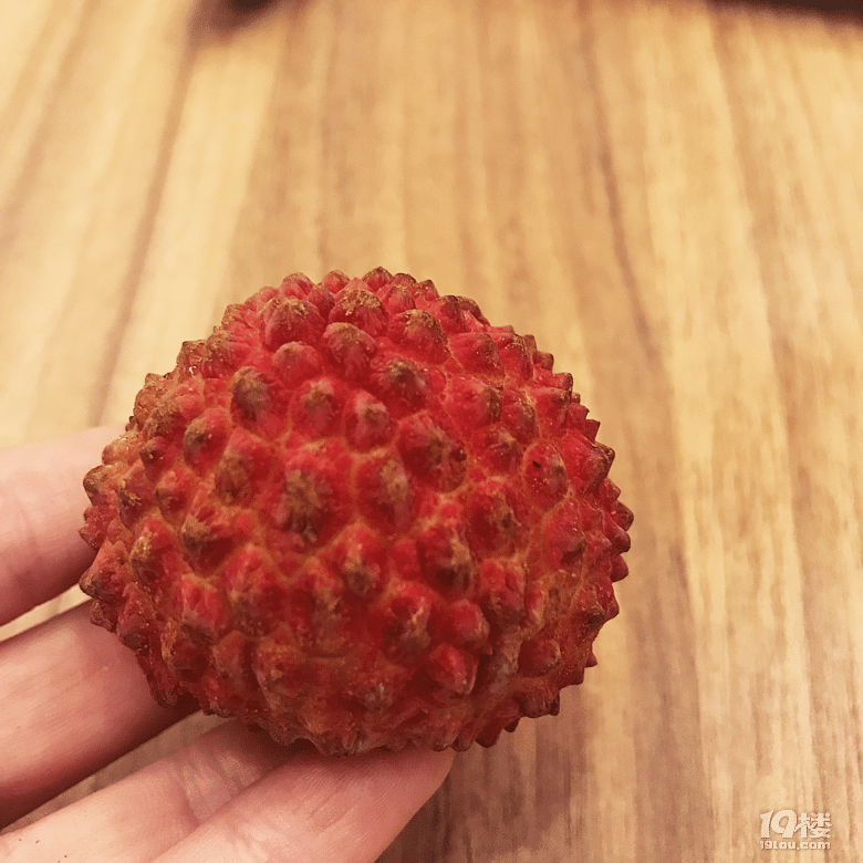 【8隊】生日月的宗旨就是要吃很多很多好吃的！