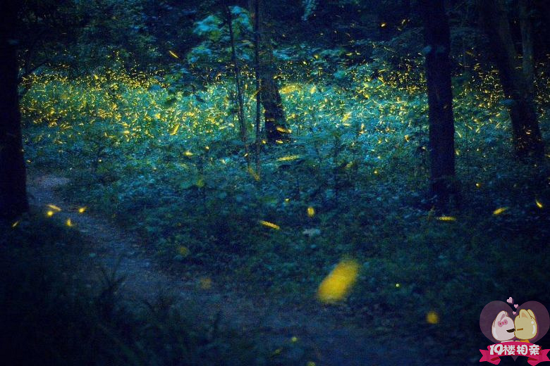 英国的恋爱专家说