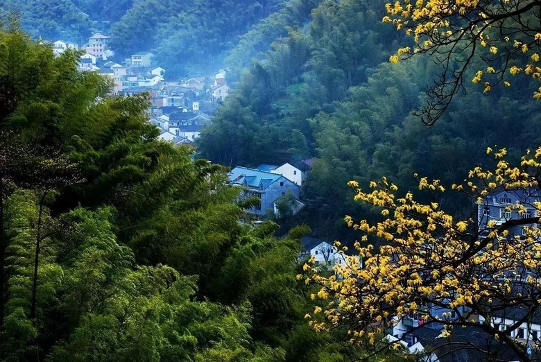 据 萧山戴村官方微信,杭州日报 记者 方亮