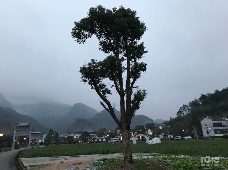 周末悠闲好去处——兰溪市芝堰古村——喜欢安静的朋友可以去