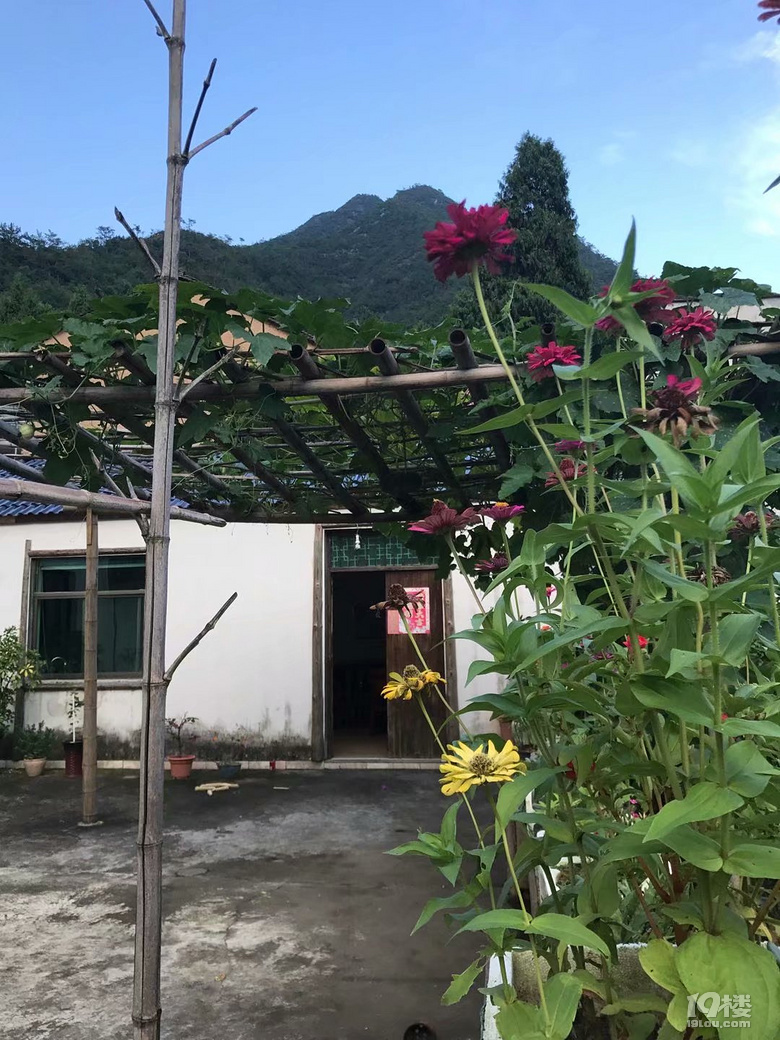 周末悠闲好去处——兰溪市芝堰古村——喜欢安静的朋友可以去