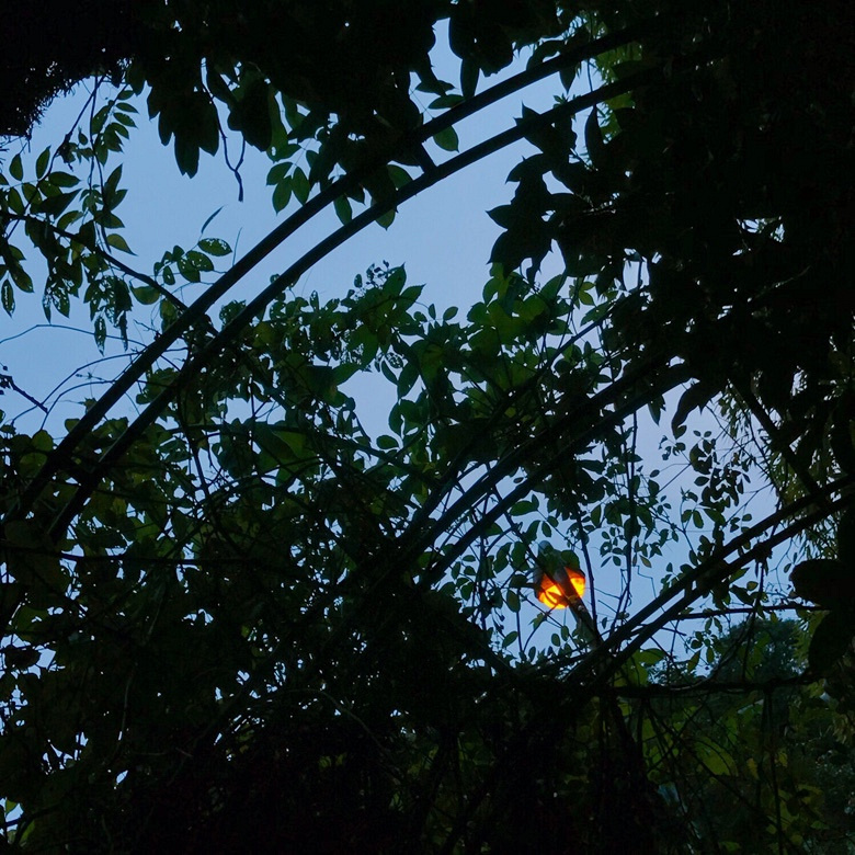 杭州网红餐厅【素描】打卡,附吃后感