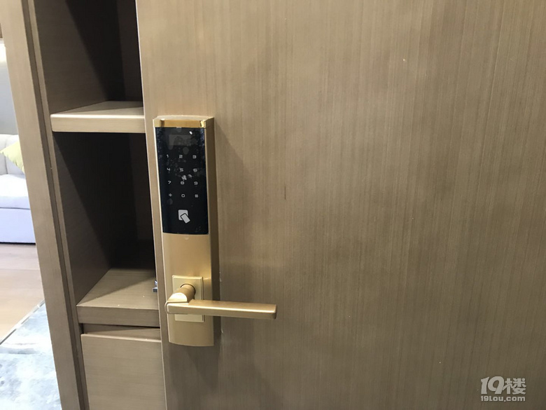 西湖区 可以注册公司 精装修 酒店式公寓 带独立