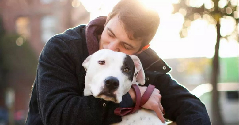 谁在传播狗吃人的谣言?