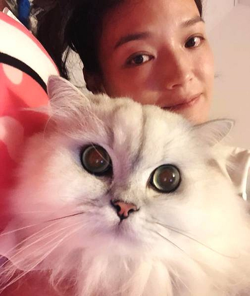 舒淇懒理皮肤过敏为爱猫庆生 揽猫唱歌超Swe