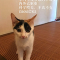 想要个温暖的家