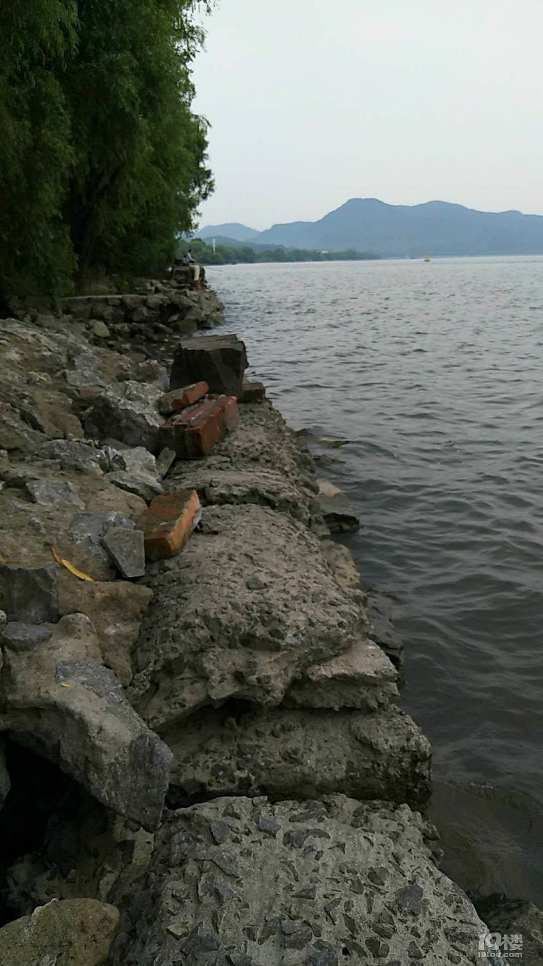 7月30日休息天钓鱼记