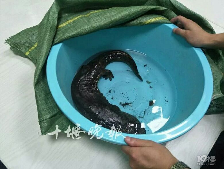 深夜,街头突然传来啼哭声,民警在路边发现