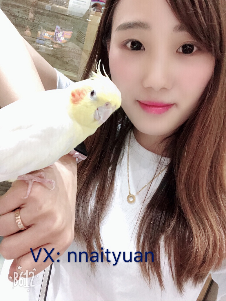 小奶猫,小奶狗们都已经备好,送给心爱的她