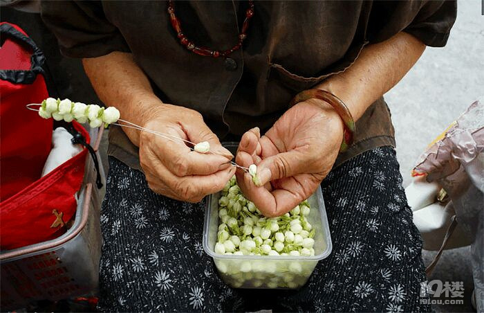 婆婆卖花不是为了挣钱,而是害怕一个人