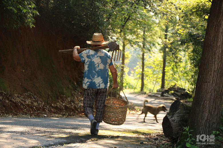一群萌娃集结临安杨家山,给大山里带来了欢乐!