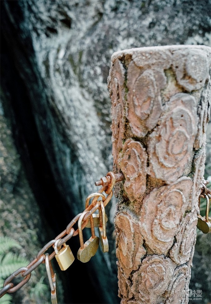 福州鱼丸&武夷山茶香 – 五一福建乐游记