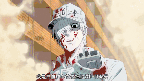 564_318gif 动态图 动图