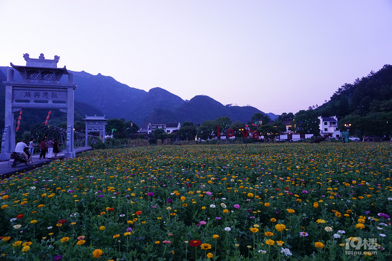 周末悠闲好去处——兰溪市芝堰古村——喜欢安静的朋友可以去
