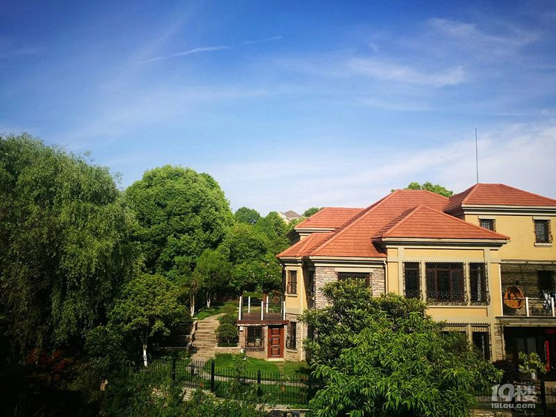 富阳银湖板块,独栋别墅加双拼,一手房不摇号