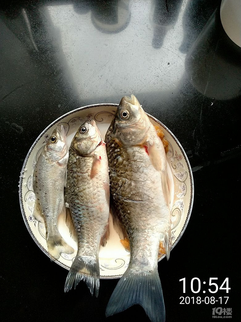 钱塘江野生鲫鱼跟鲈鱼味道真的是棒棒滴.