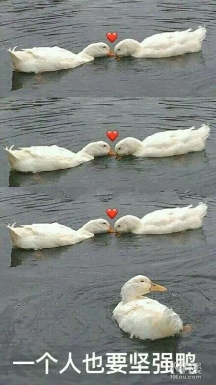 杭州小伙七夕之夜求婚,突然暴风雨…杭州