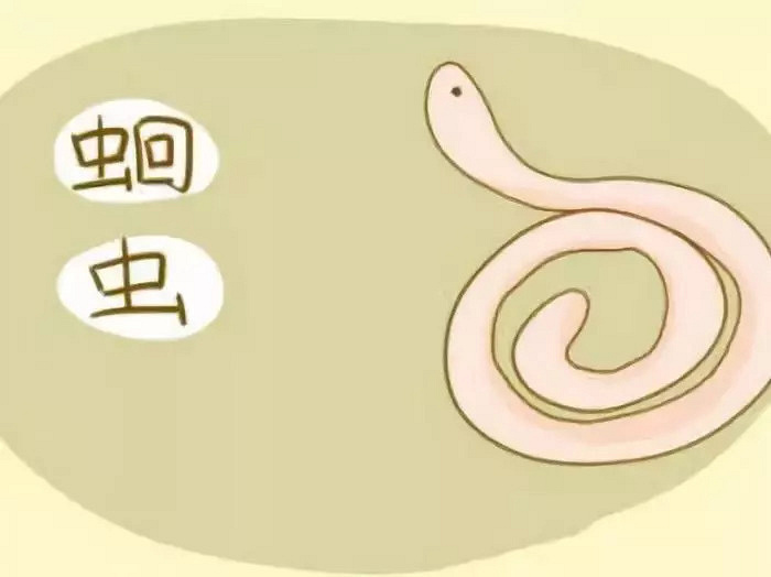 医生从成像图里发现了罪魁祸首,原来郑阿姨胆道内有一条蛔虫.