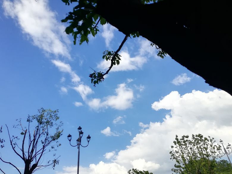 【九张图】打卡+美啦美啦