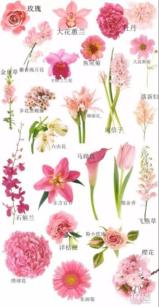 新娘手捧花为什么这么贵?手捧花花材大公开!