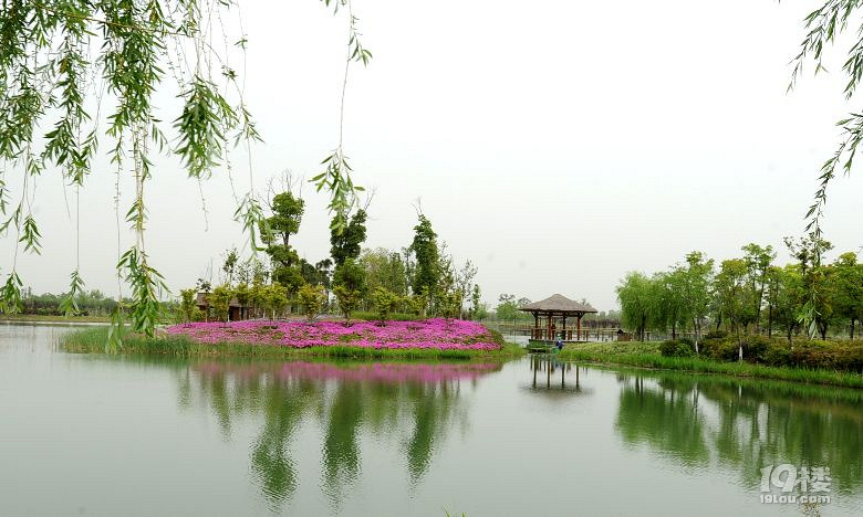 週末一起去蘇州木瀆古鎮 太湖溼地公園啦