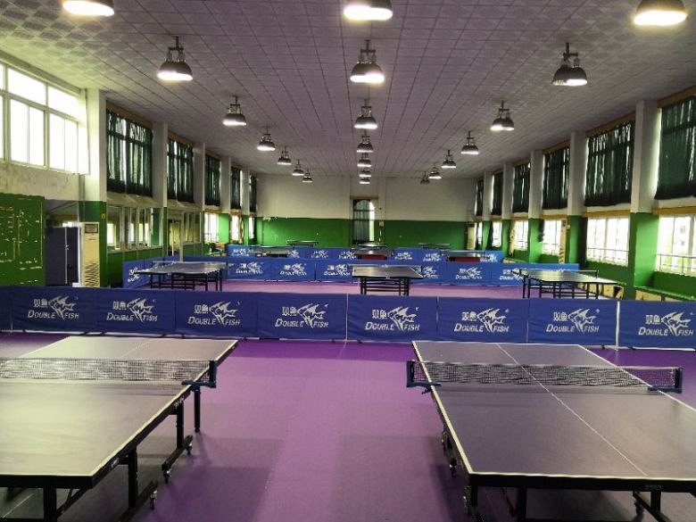 本体育场馆开设乒乓球运动常年培训班,聘请