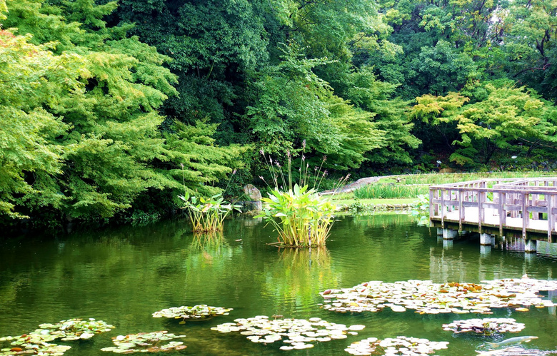 名古屋德川园图片