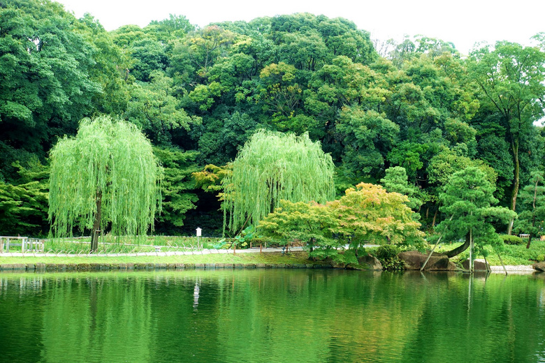 名古屋德川园图片