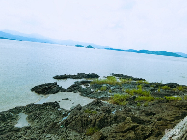 抓住夏天的尾巴 去寧波無人島游一游