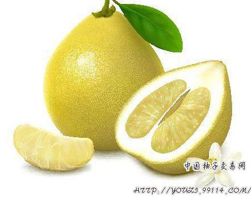 中国柚子交易网:晚上吃柚子可以减肥吗