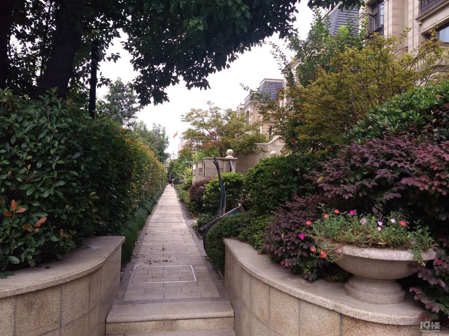 顺发恒园别墅 现房 可用550多方 上3层下2层赠花园60方 带电梯井