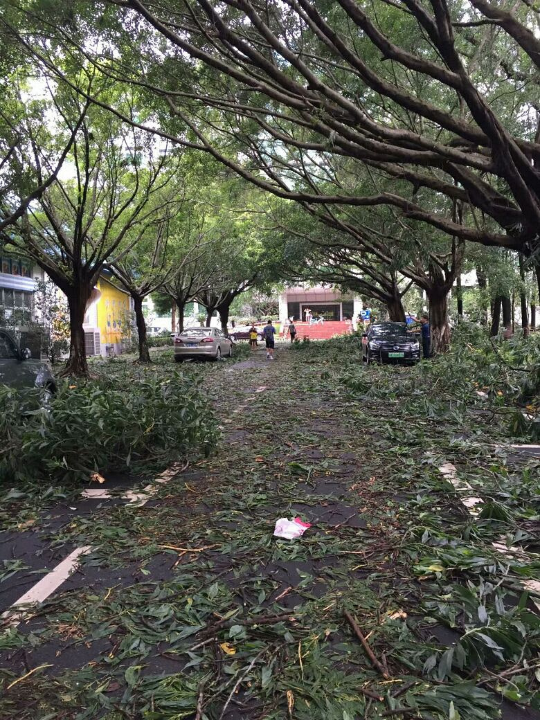 【九张图】9.16山竹的破坏力