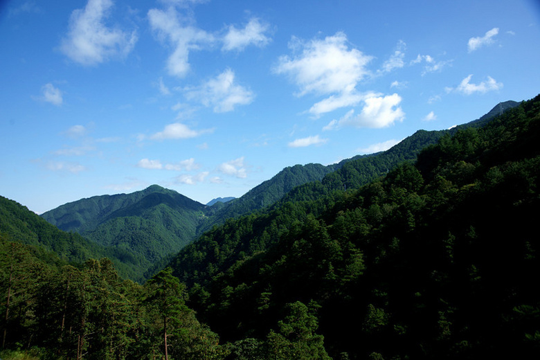 国家aaaa级风景区---巾子峰森林公园