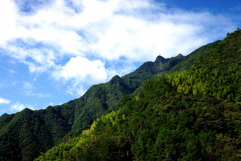 巾子峰森林公园图片