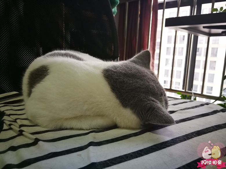 夜深人静的时候