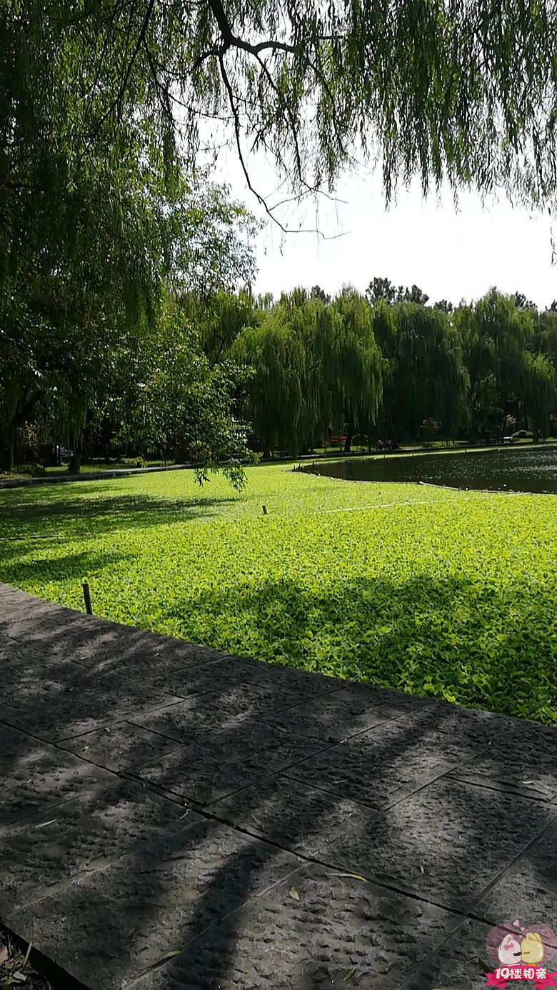 偷得半日闲,觅得静心地~~ 懒半日,调情