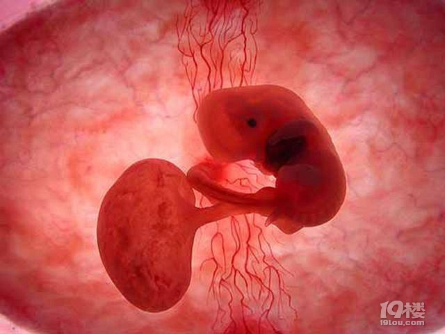 胎心胎芽最晚什么时候出现,8大原因影响孕妇,