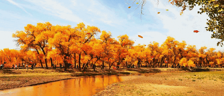 一年有四季,为何只有秋天有如此鲜明的特征呢?它的背后有何天气原 ??